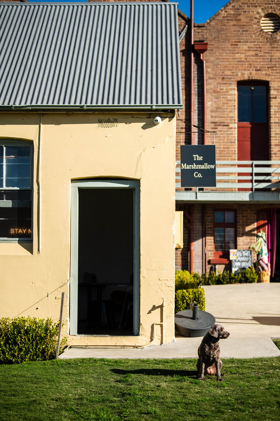 Wyong Love Central Coast